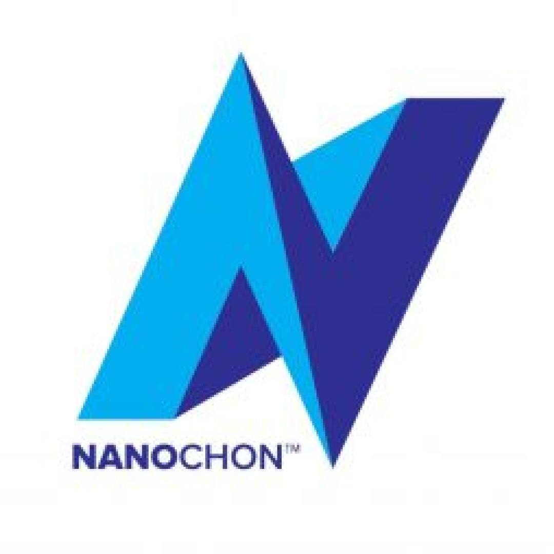 Nanochon Logo